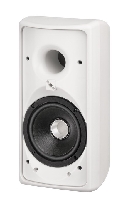 WP-5